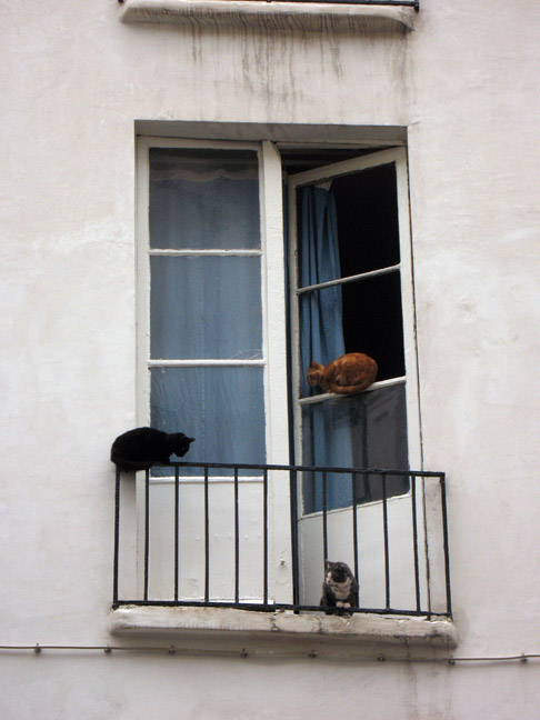 pweb IMG 3399 Eurovaca 2007 Part 4: Paris