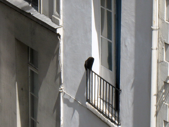 pweb IMG 3637 Eurovaca 2007 Part 4: Paris